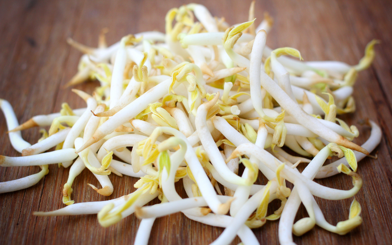 Giá đỗ giảm hấp thu cholesterol và hỗ trợ thải độc