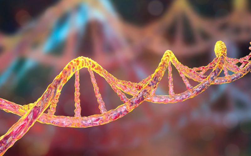 Yếu tố di truyền, tuổi tác và giới tính gây rối loạn mỡ máu (cholesterol cao)