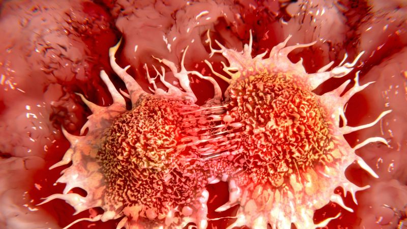 Dư chất béo bão hòa sẽ làm tăng nguy cơ ung thư