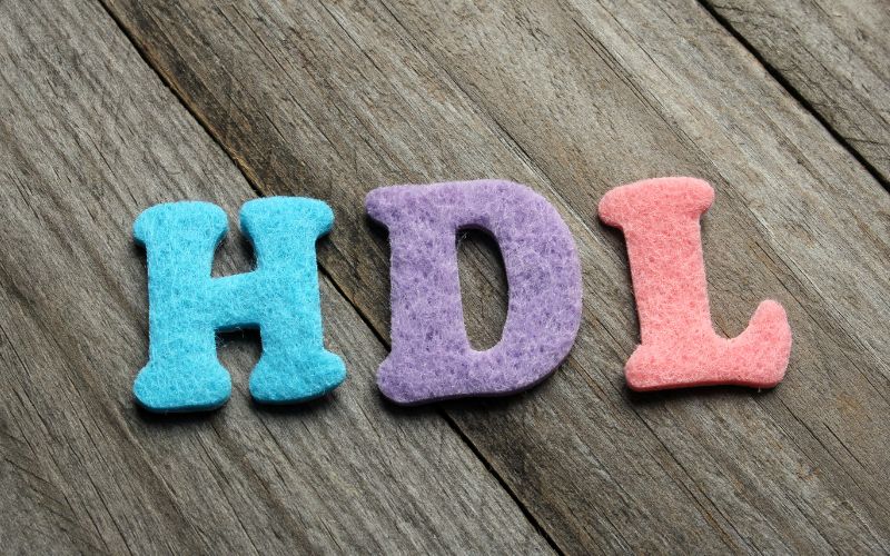 HDL giúp đưa cholesterol dư thừa từ các mô về gan để xử lý hoặc đào thải ra khỏi cơ thể.