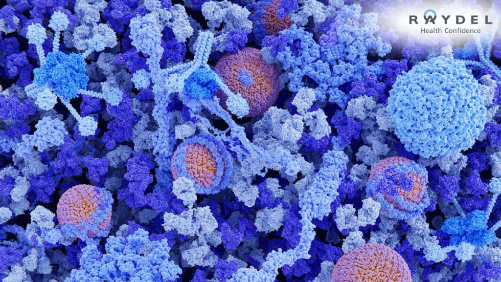 HDL Cholesterol là gì? Chỉ số bao nhiêu là bình thường?